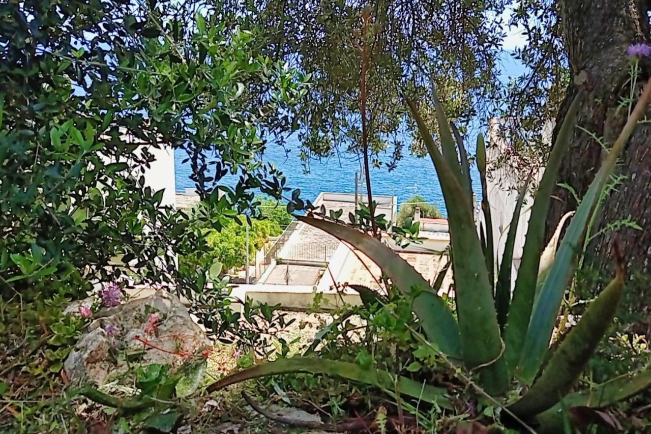 Marina Di Andrano - Alisso, Casa Vista Mare Con Parcheggio Privato E Wifi Villa Eksteriør bilde